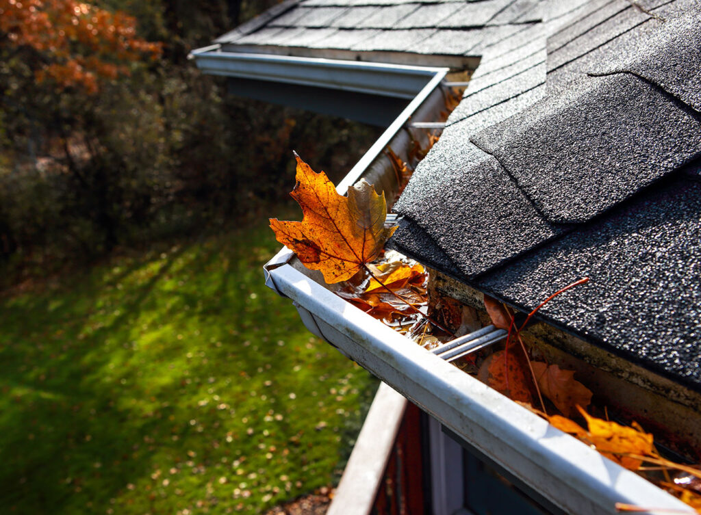 residential gutter needing professional gutter cleaning services near granger indiana