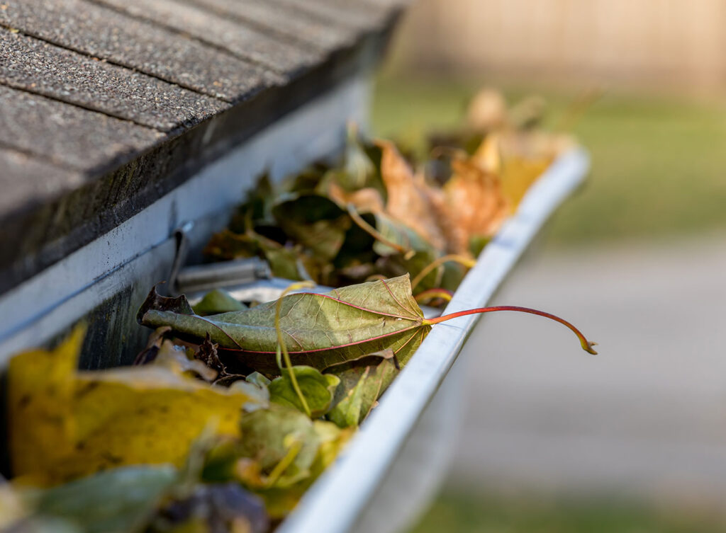 residential gutter cleaning service contractors near the michiana bi-state area